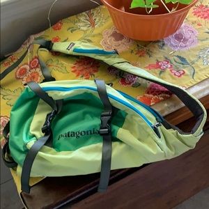 Patagonia side sling backpack.